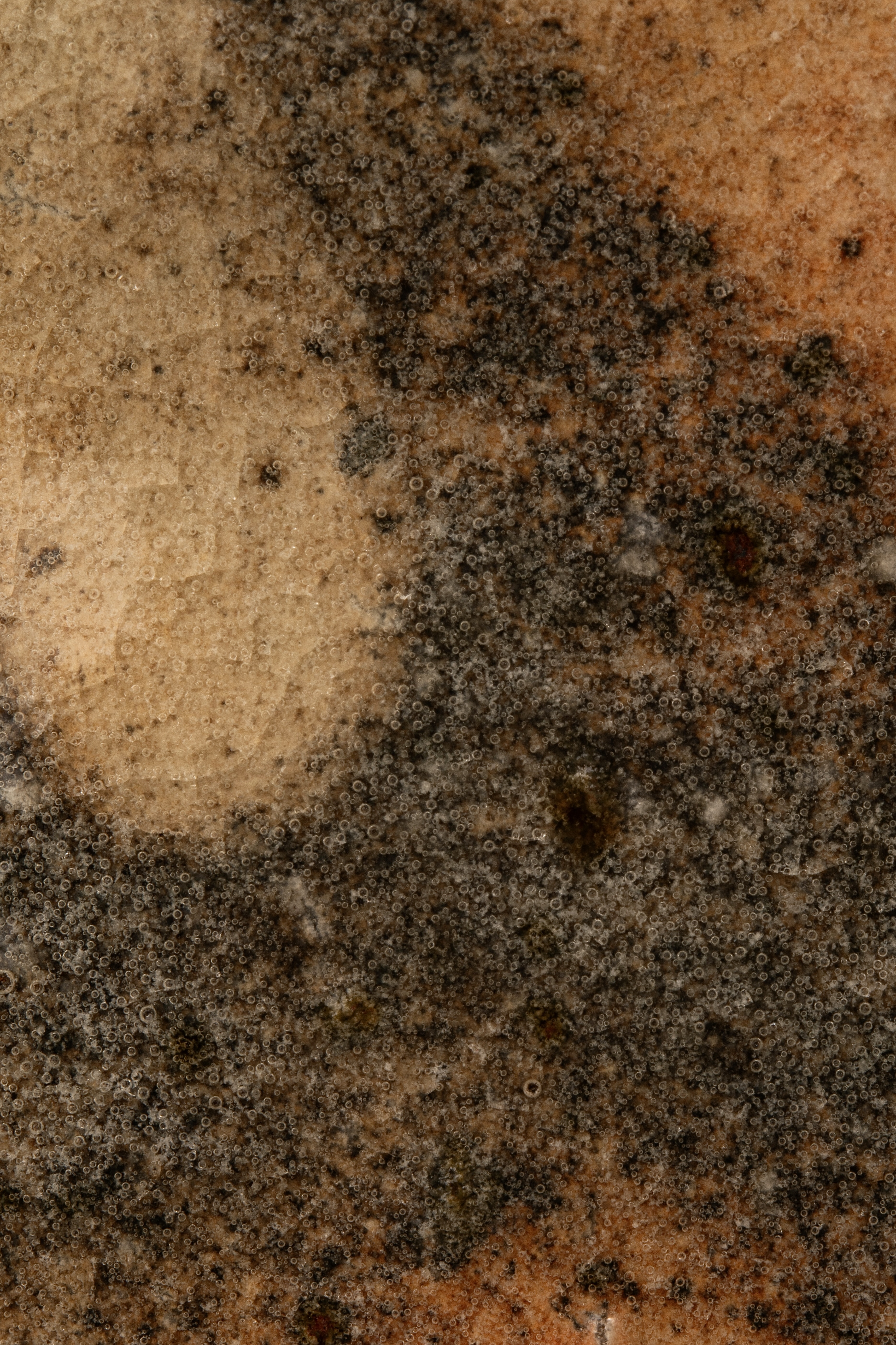Exhibition image 2