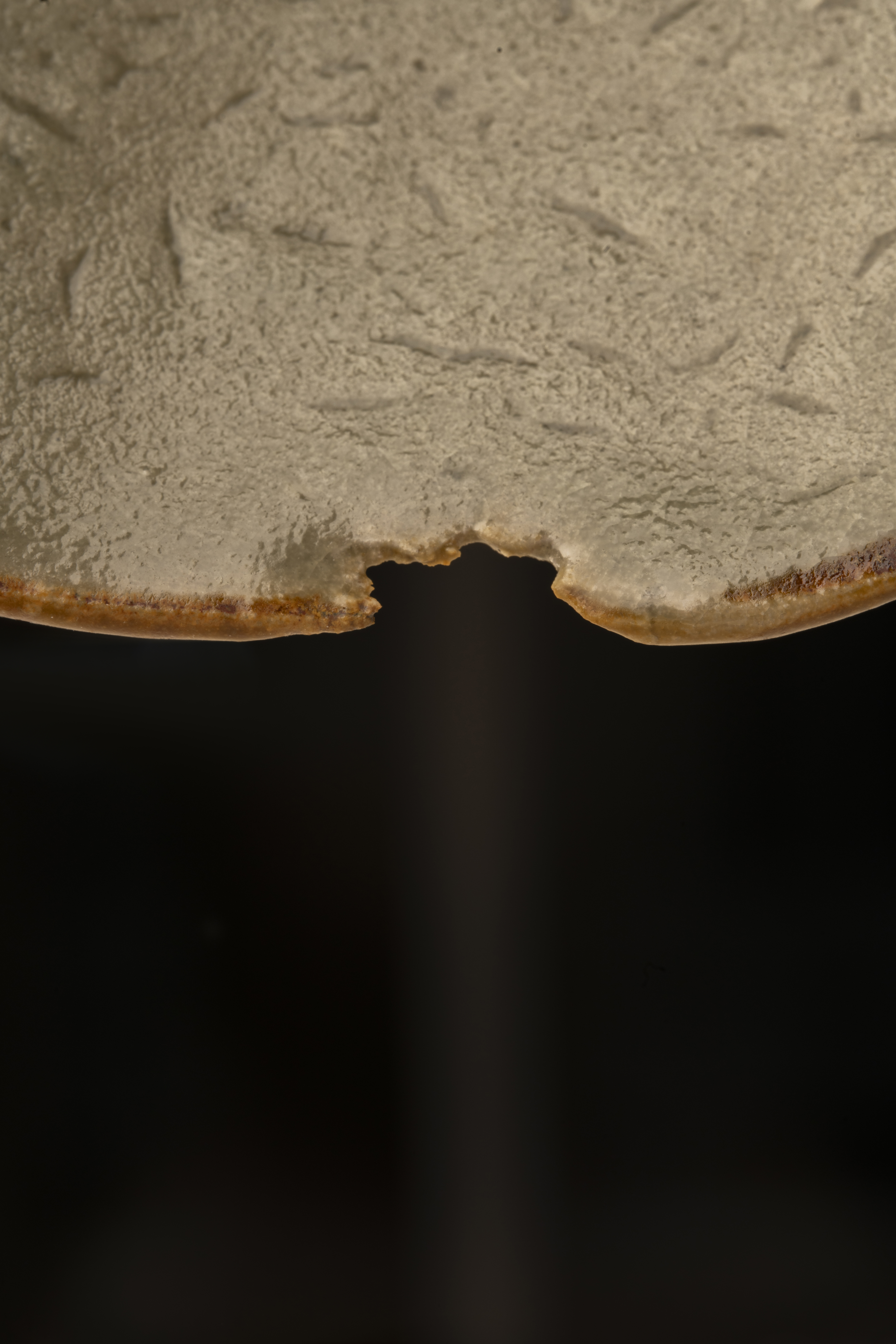 Exhibition image 4
