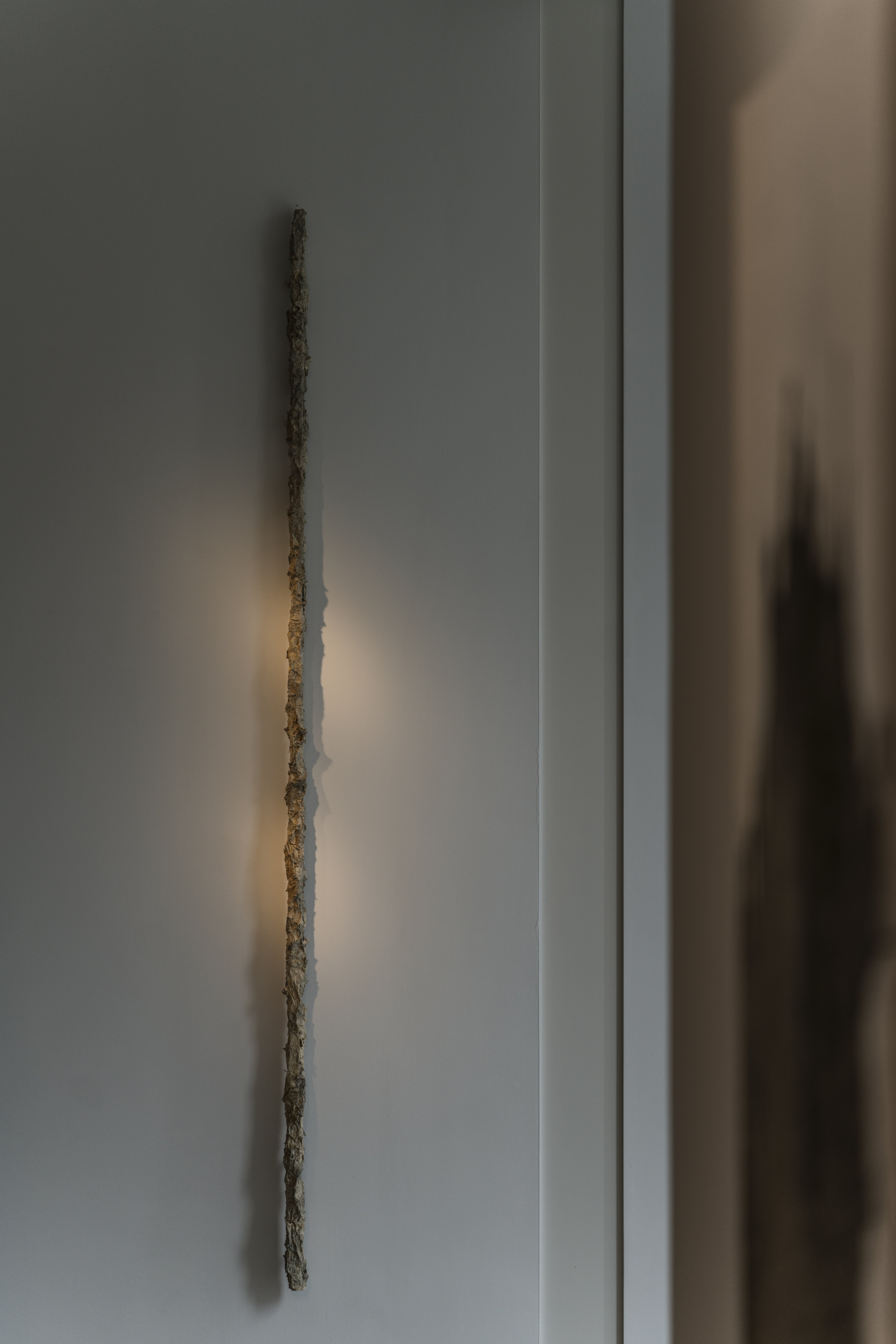 Exhibition image 5