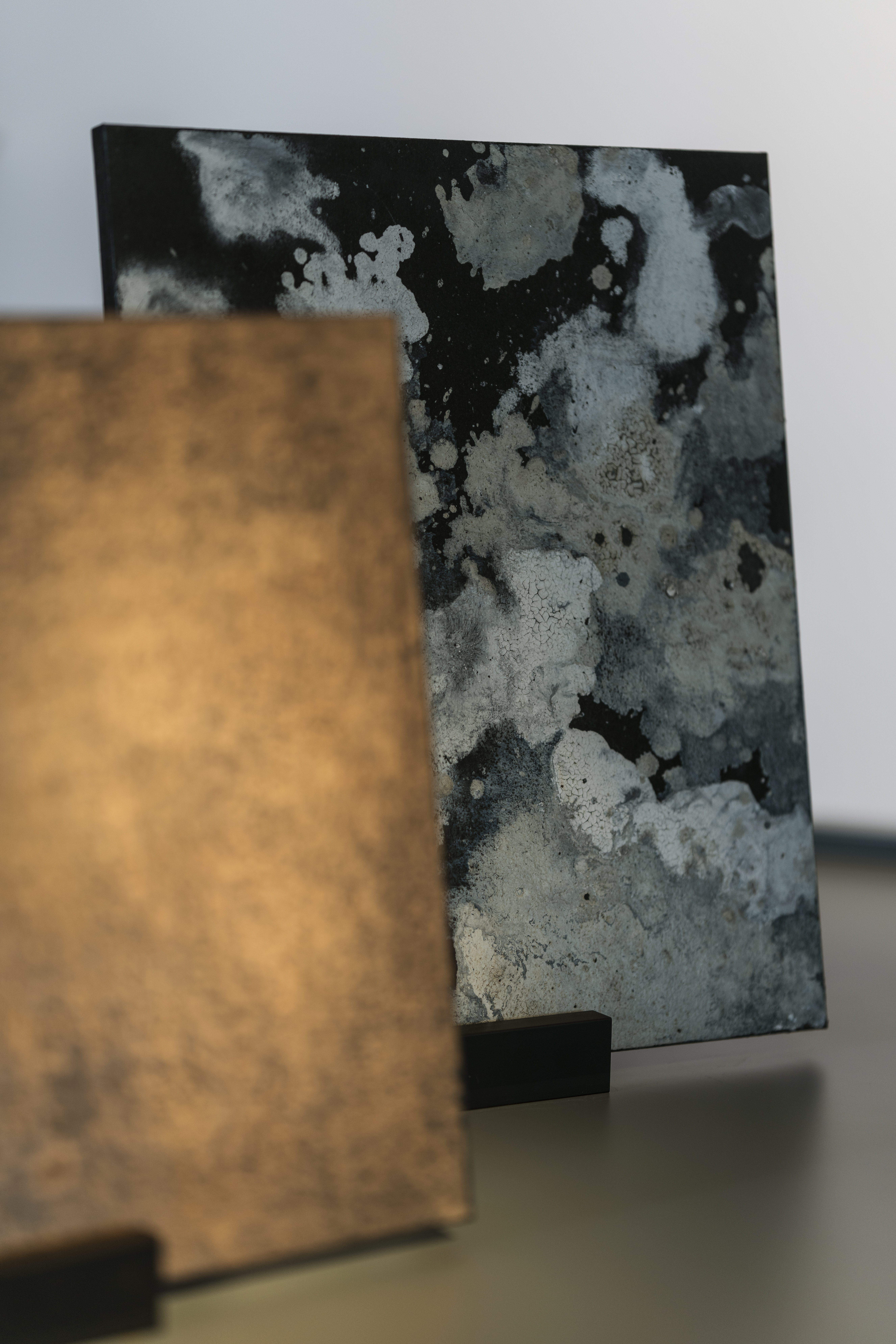 Exhibition image 6