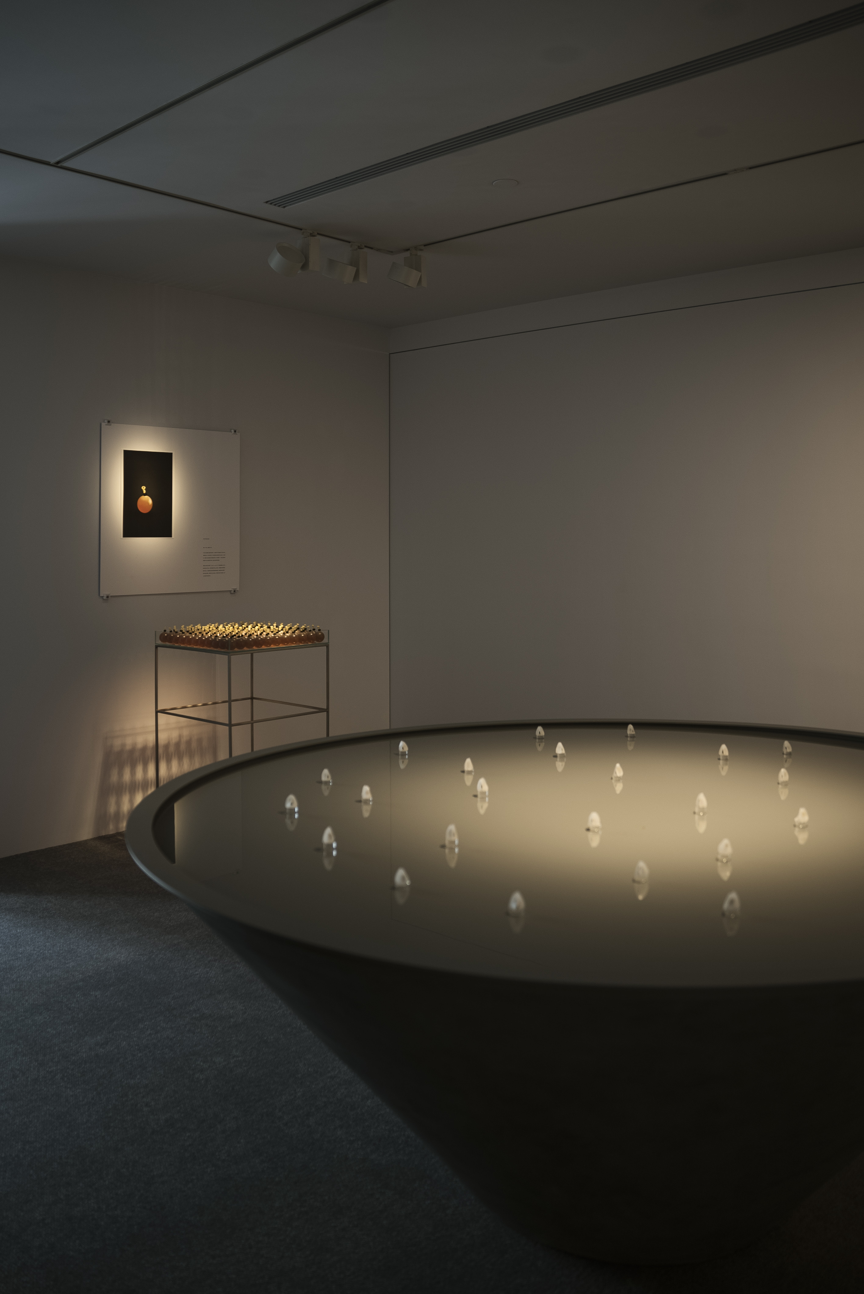 Exhibition image 2