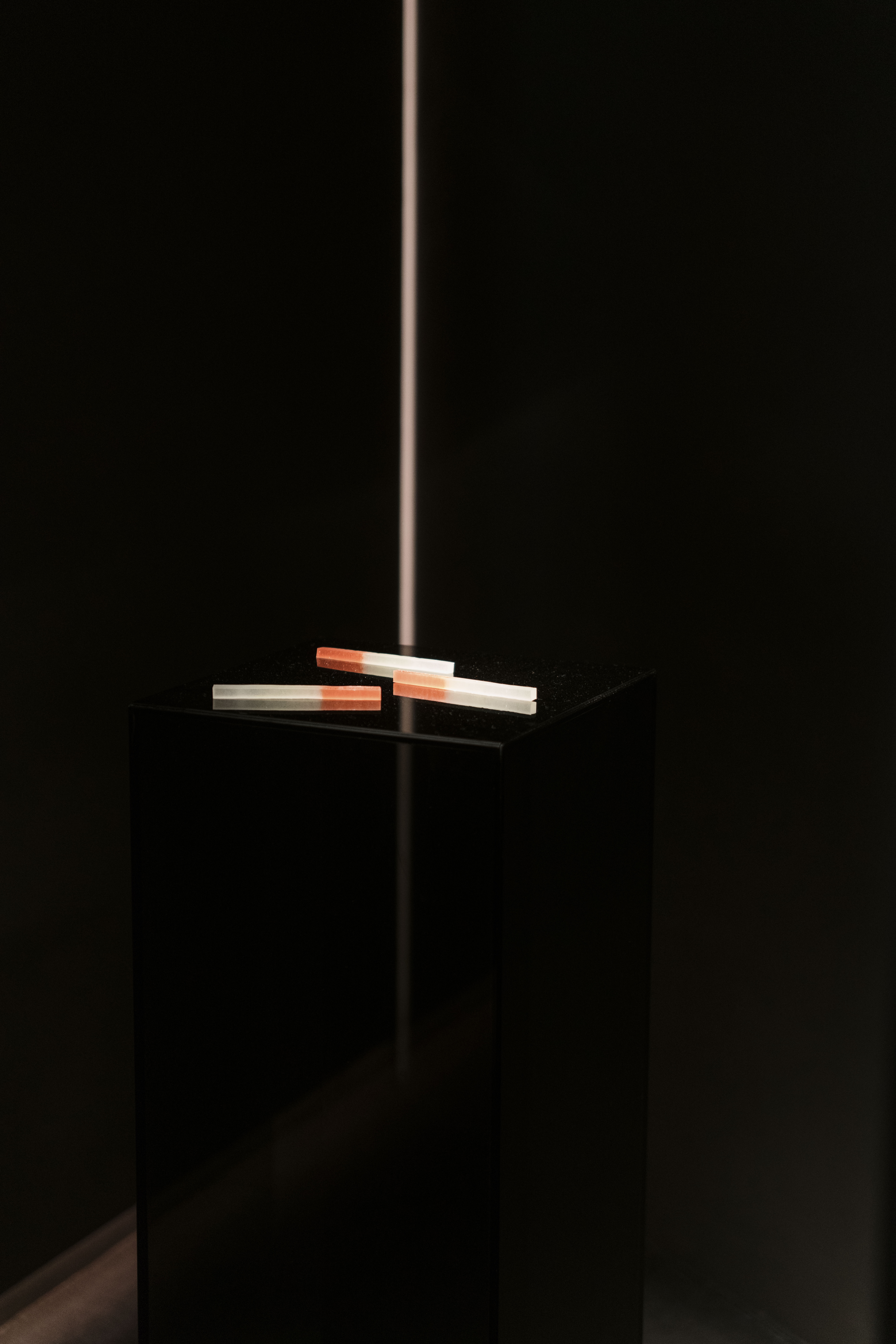 Exhibition image 3