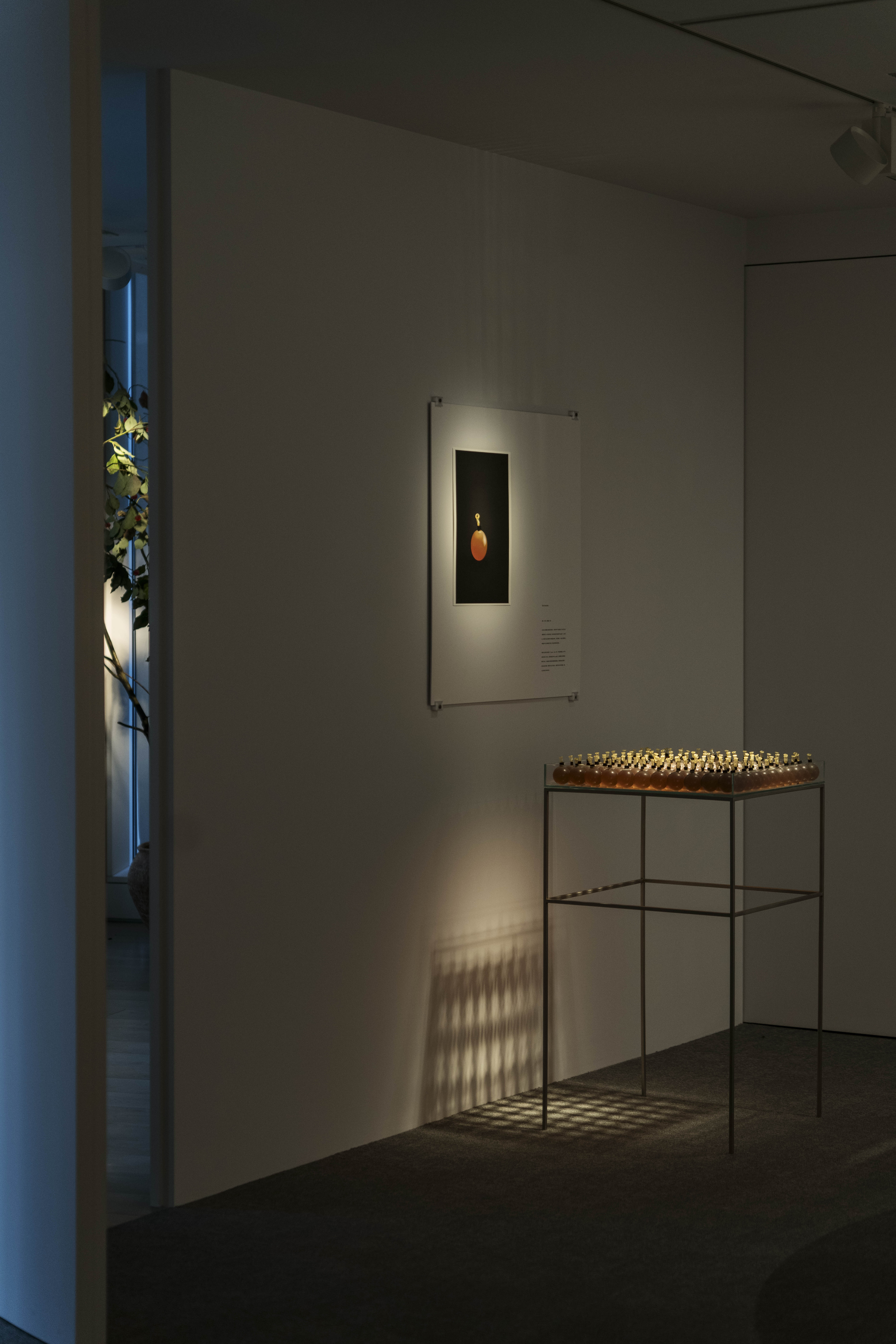 Exhibition image 4