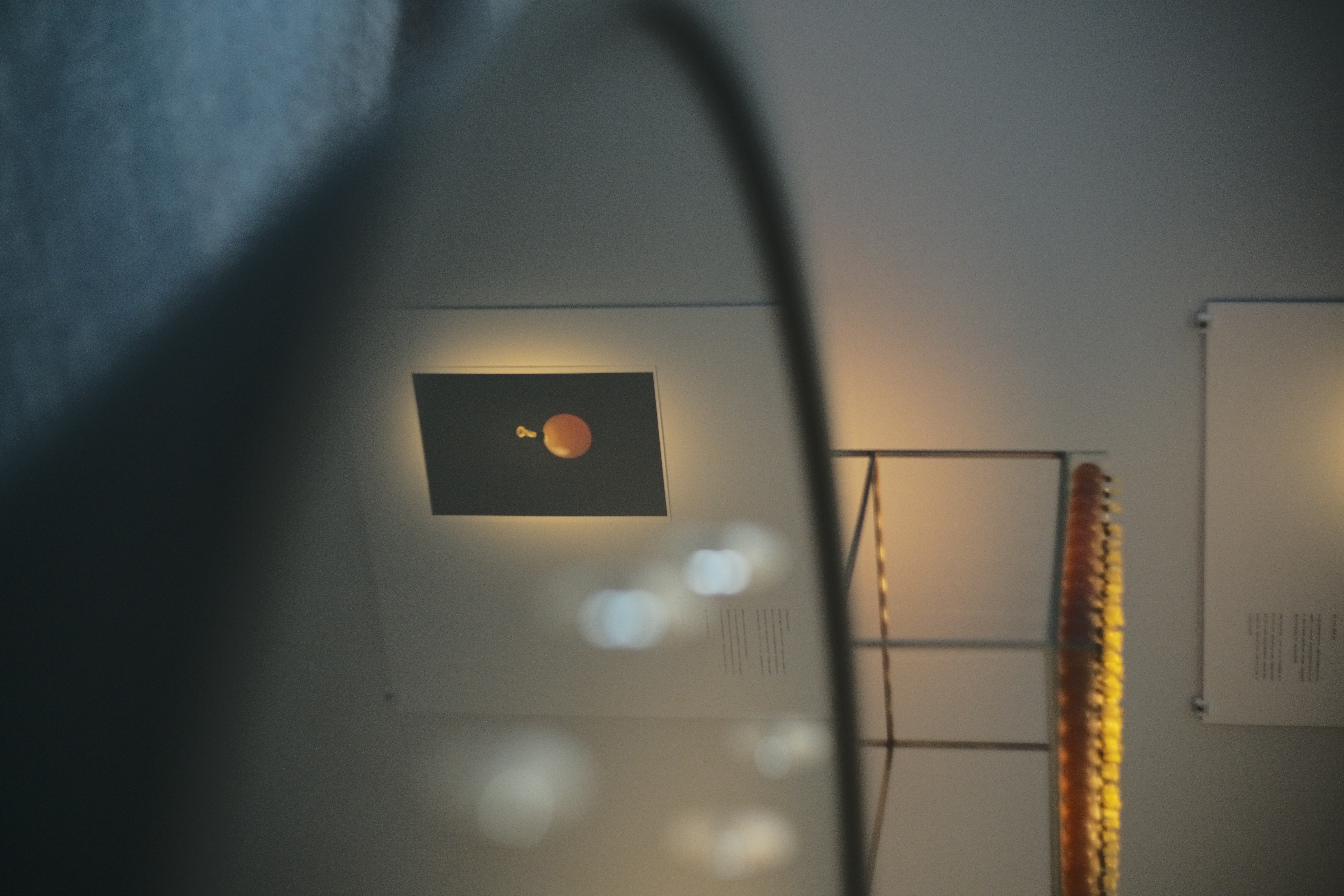 Exhibition image 5