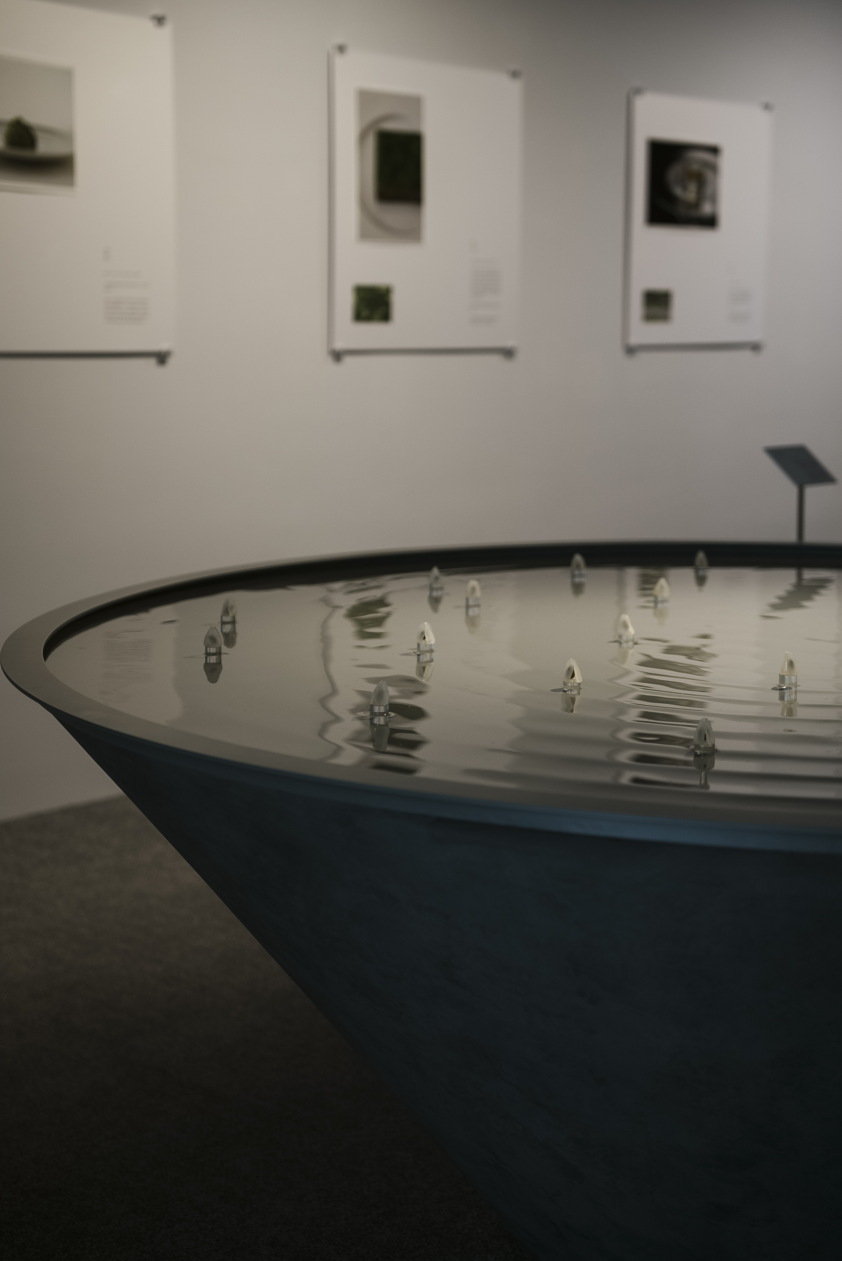 Exhibition image 7